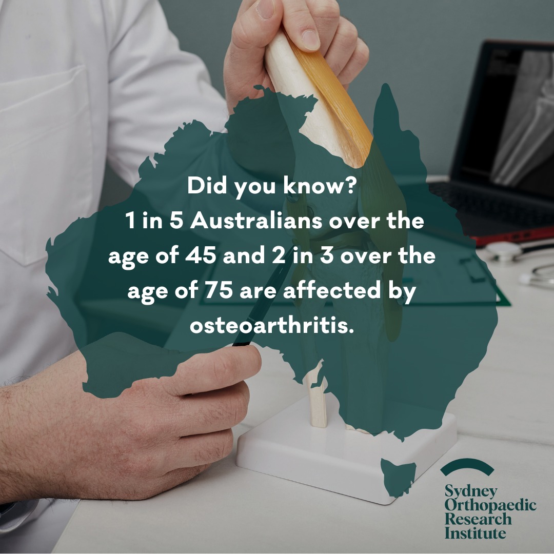 Sydney Orthopaedic Research Institute | Sydney NSW