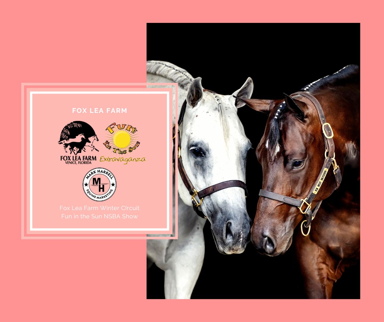 Mark Harrell Equine Marketing | Caseyville IL