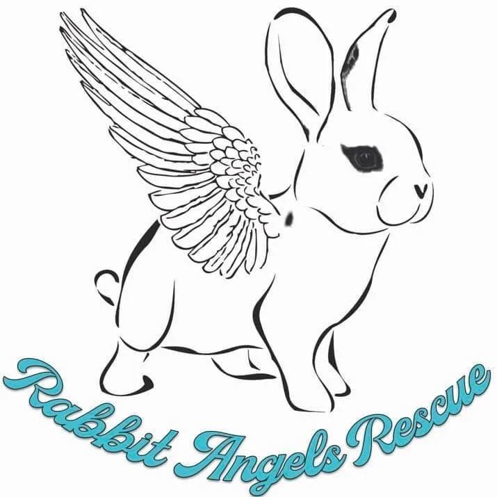 Mid-Michigan - Vendor Spotlight: Rabbit Angels Rabbit Rescue We’re ...