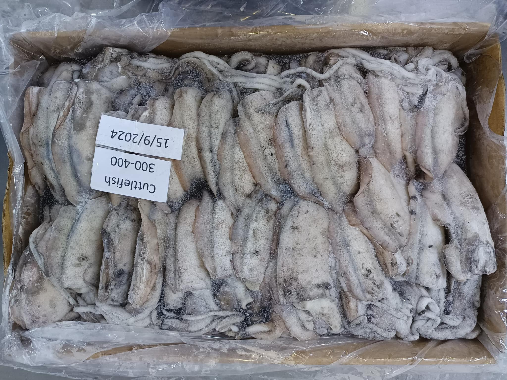 Ashfaq Oman Fisheries