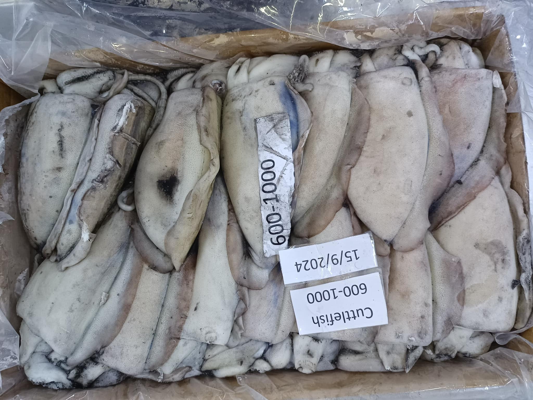 Ashfaq Oman Fisheries