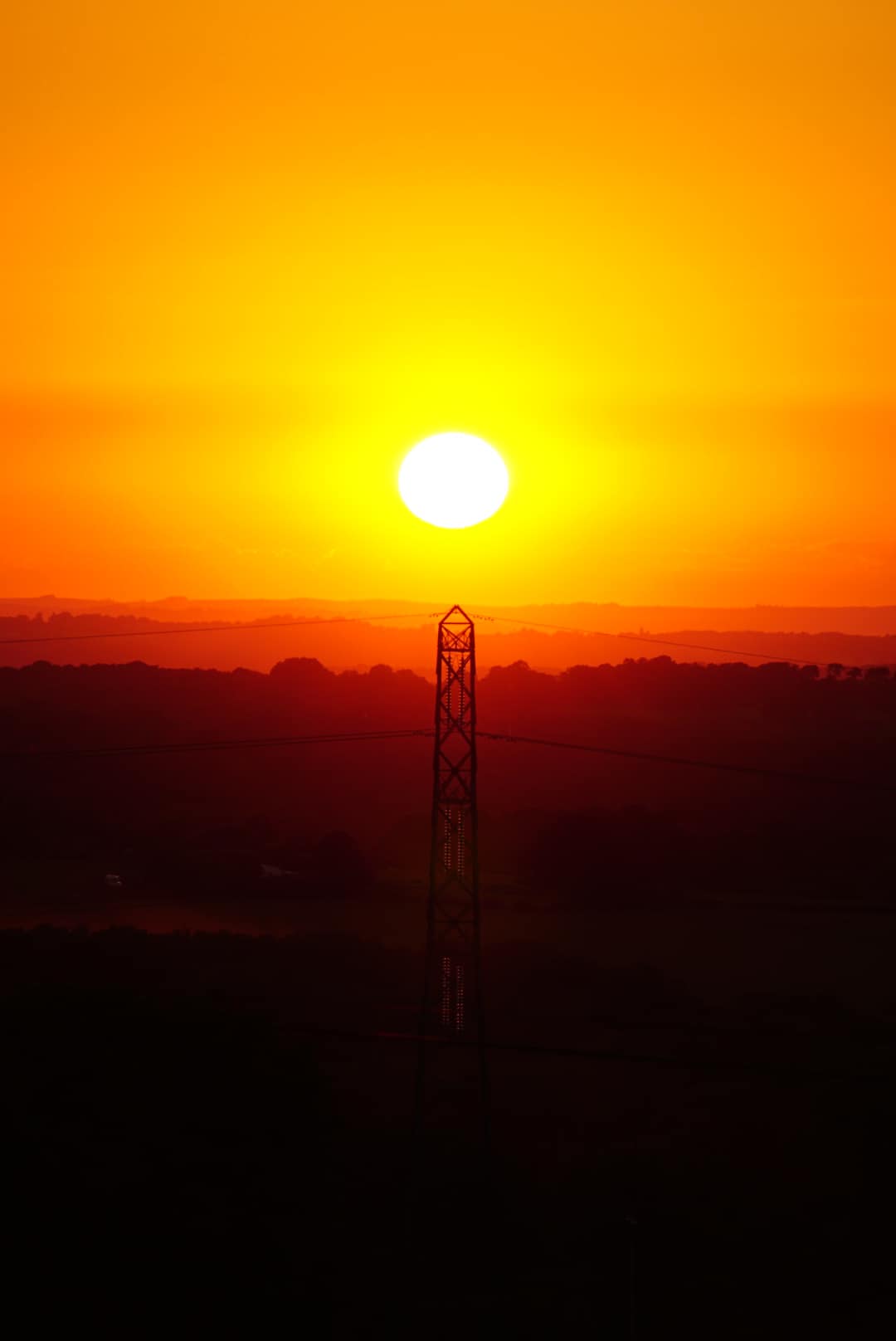 Gary Reed Photography