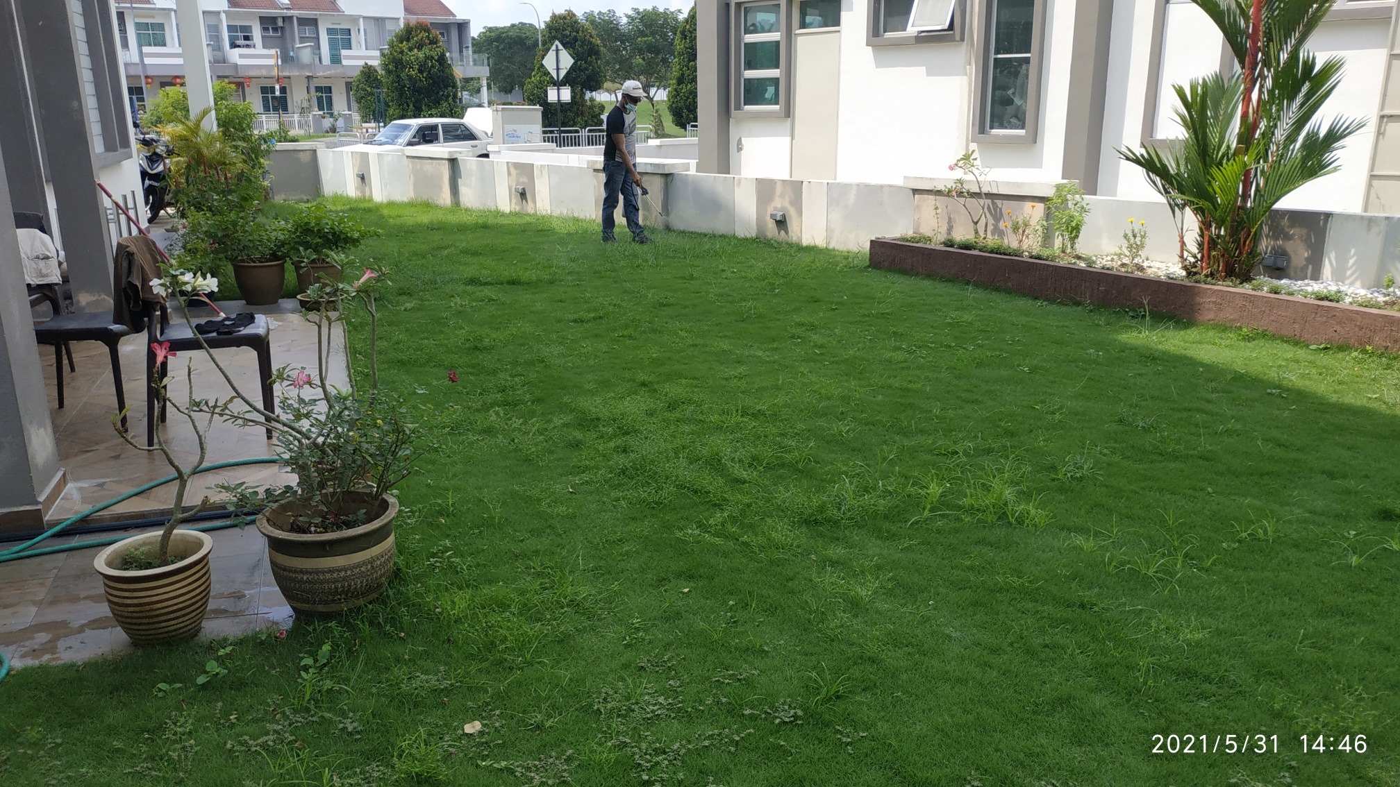 TheLawn Care - Ramai tanya cara hapuskan rumpai. Nanti... | Facebook
