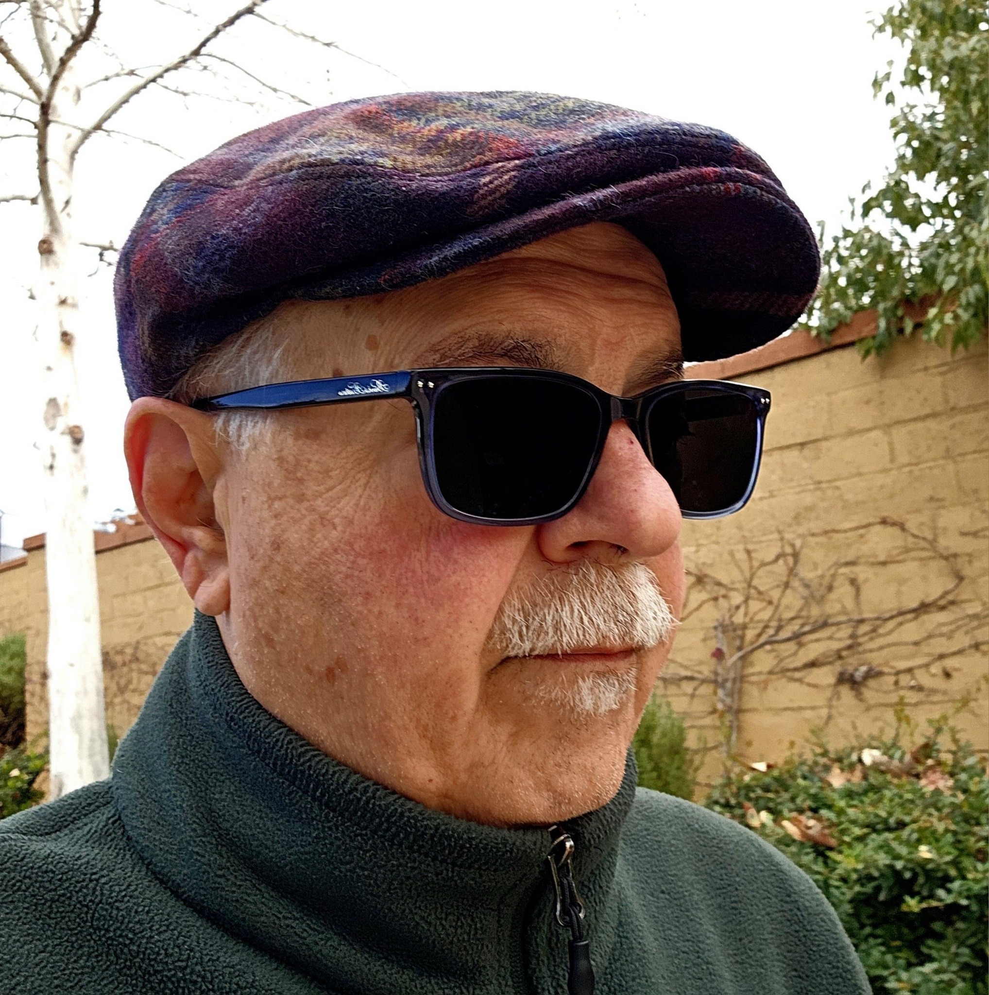 Harry Scorzo