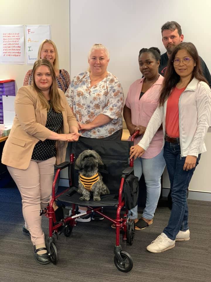 Congratulations to our group... - Insight Training RTO 32142 | Facebook
