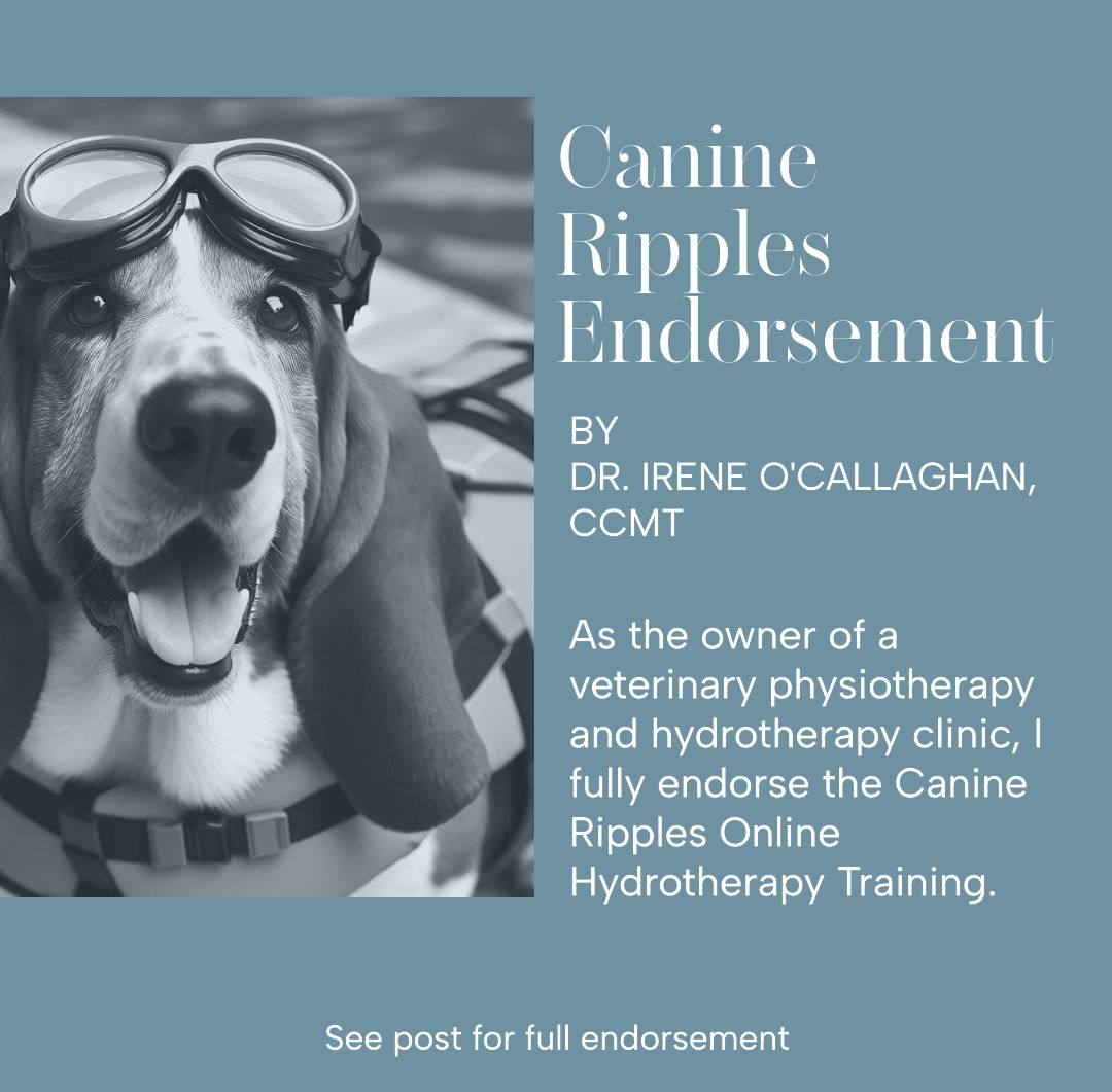 IAAMB (International Association of Animal Massage & Bodywork) | Canine ...