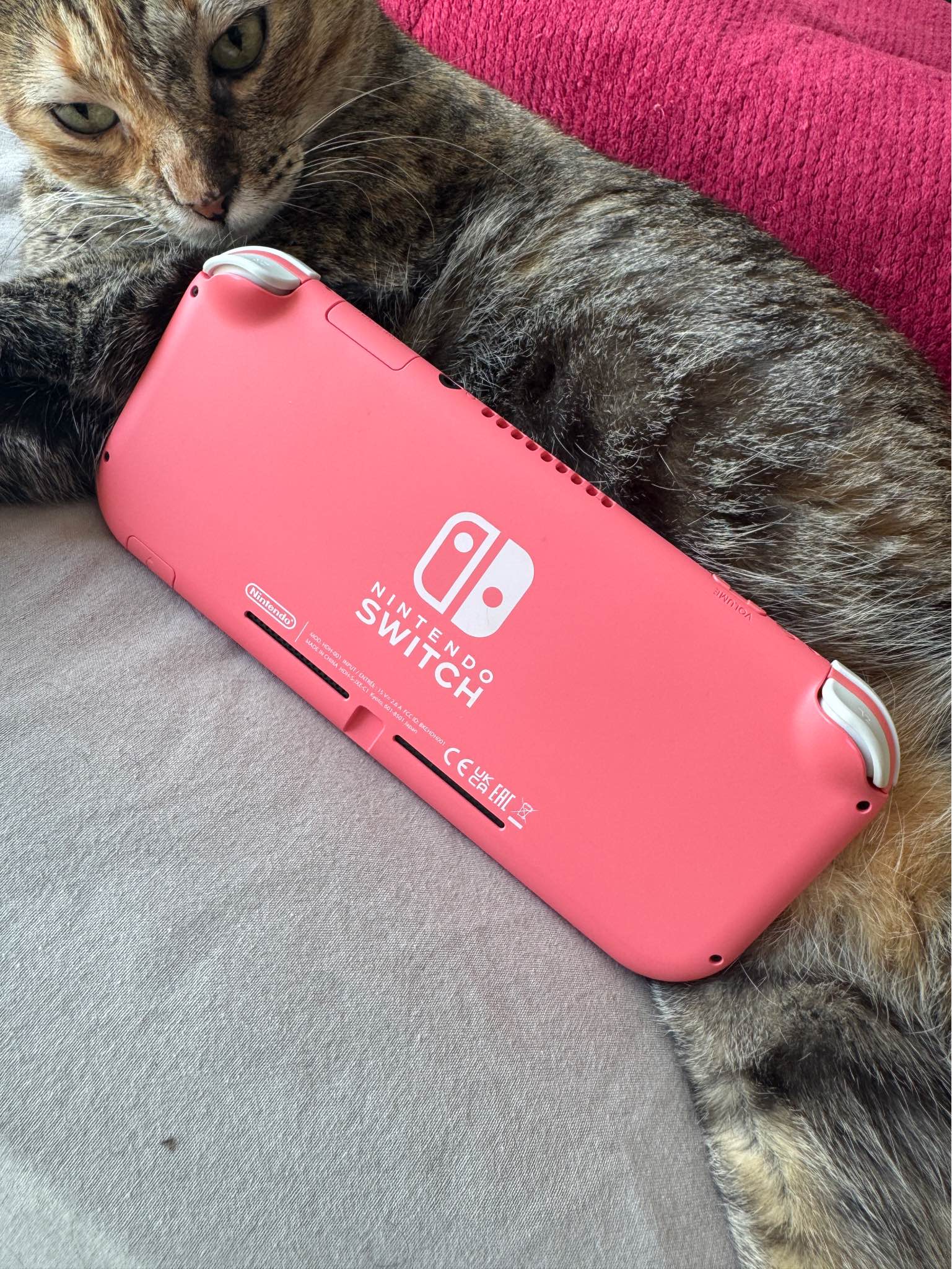 Nintendo Switch Lite - Video Game Consoles - Playa del Carmen, Quintana ...