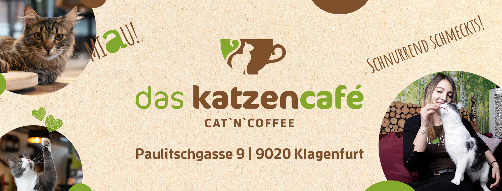 das-katzencaf-cat-n-coffee-klagenfurt