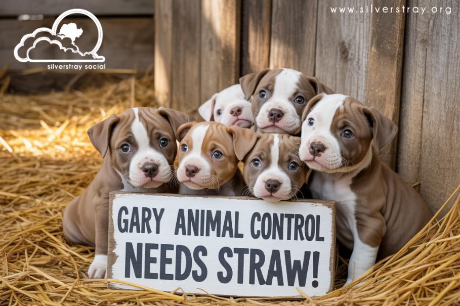 STRAW NEEDED FOR GARY ANIMAL... - Silverstray Social | Facebook