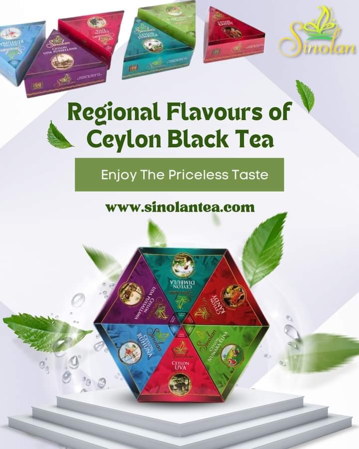 Ceylon Tea by Sinolan | Colombo