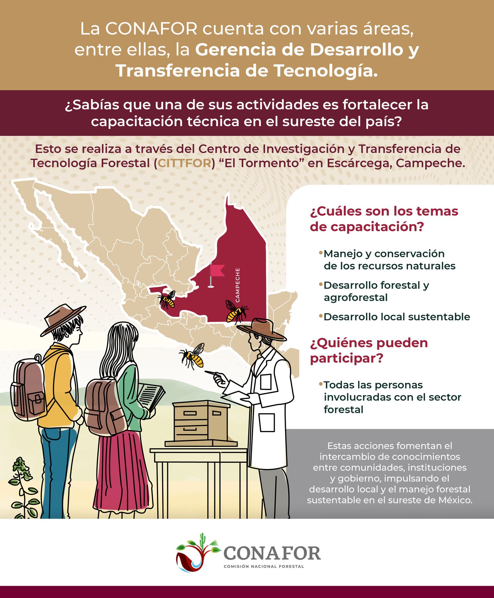 La CONAFOR, a través del... - Comisión Nacional Forestal | Facebook