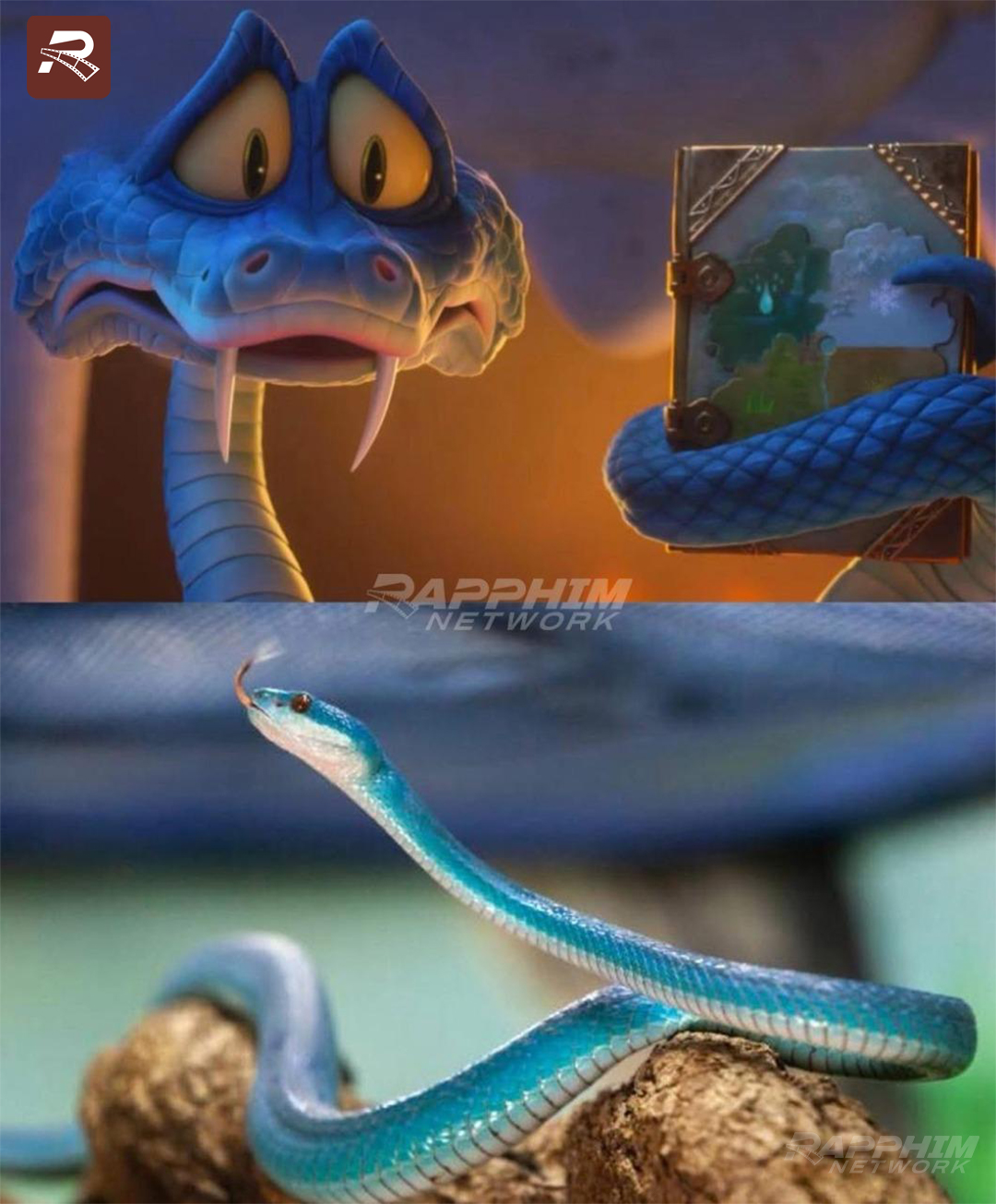 Rạp - BUỒN NHƯNG THẬT 😭 Sau thành công của Zootopia 2, nhân vật rắn ...