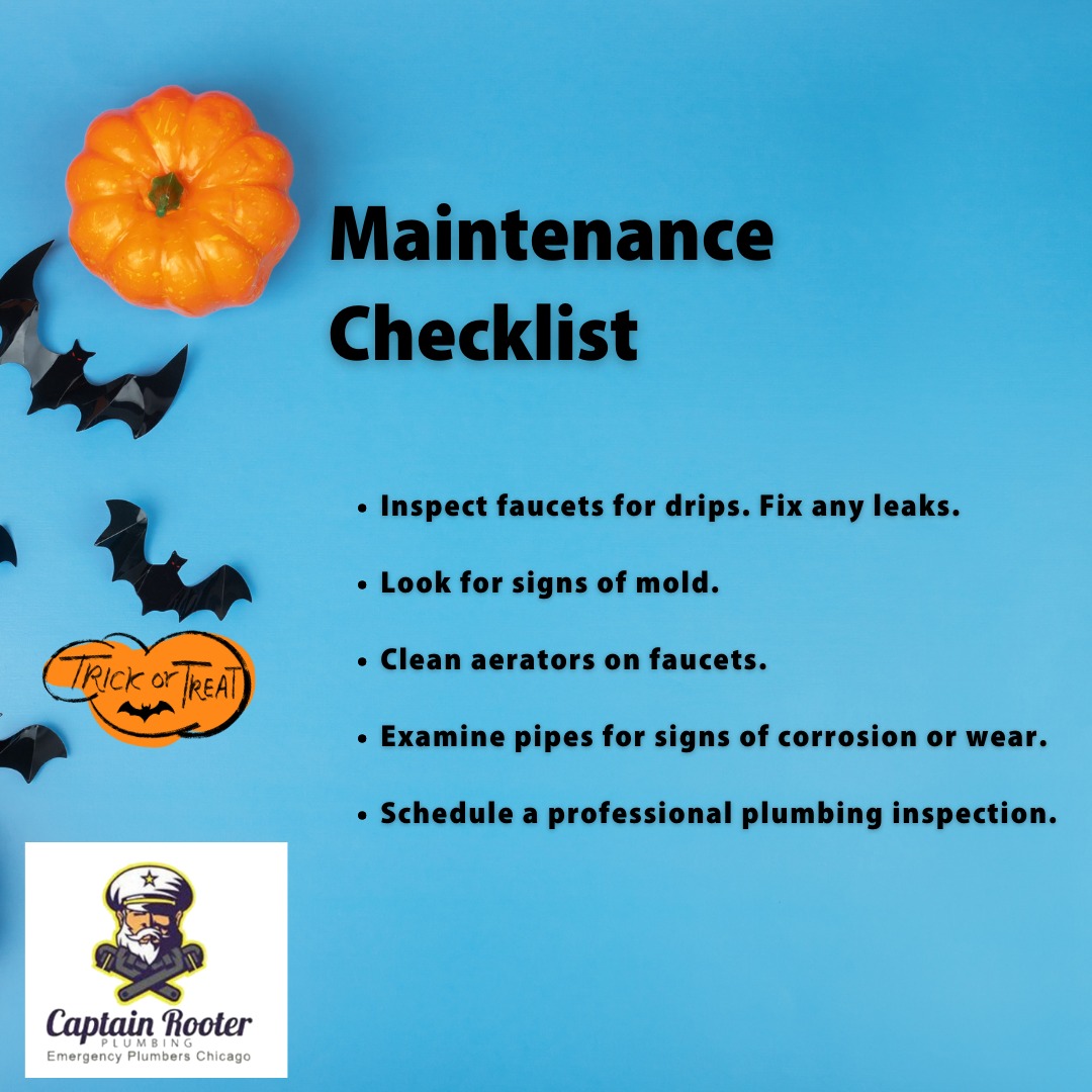 Captain Rooter Emergency Plumbers Chicago | Chicago IL