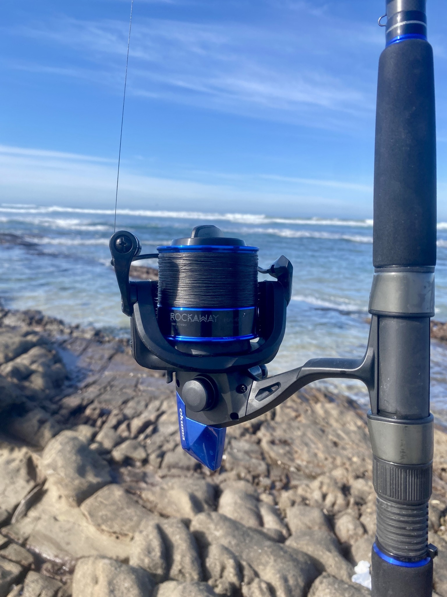 shimano 600 reel Baitrunner D Spinning the power and speed migrated Size or Variant:Stella SW-D 6000 XG 2025 Model Lumière sur : Le