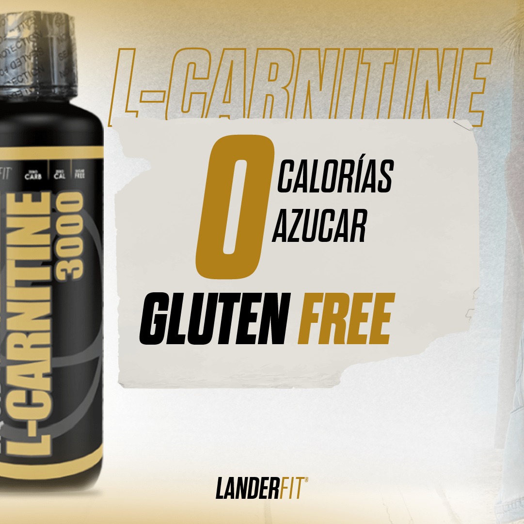 l carnitina landerfit Que el verano no te sorprenda! 💥⚡ 💪 Con L-Carnitine 3000, maximiza tus entrenamientos y alcanzá tu mejor versión veraniega 🔹 Fuente de Vitalidad: Transforma ácidos grasos en energía durante tu ejercicio Glutathione IV Drip for bundle:Buy 2 BPC157