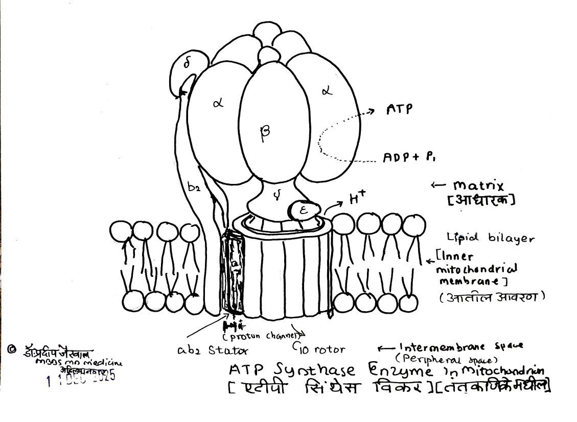 Biology | ATP synthase in mitochondrion | Facebook