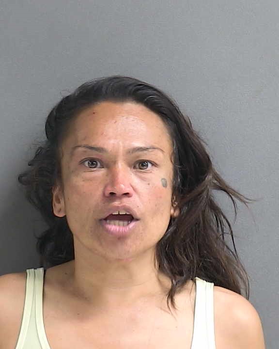 How to Find Daytona Mugshots and See Your Neighbors