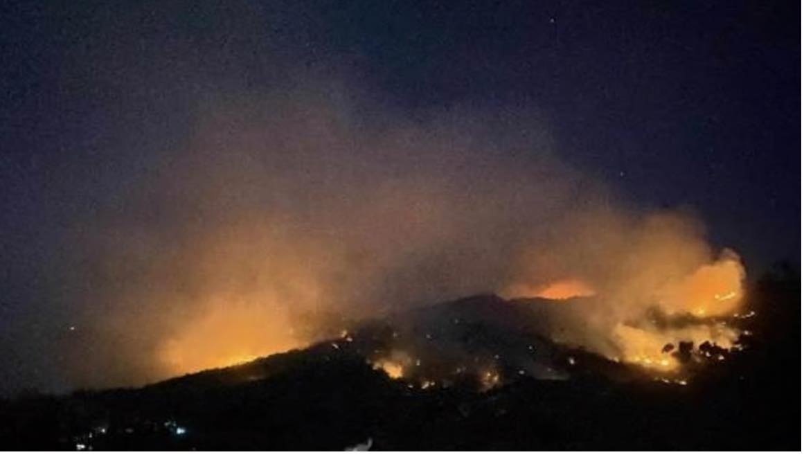 Business - GRASS FIRE AT LARENA, SIQUIJOR The recent grass fire in ...