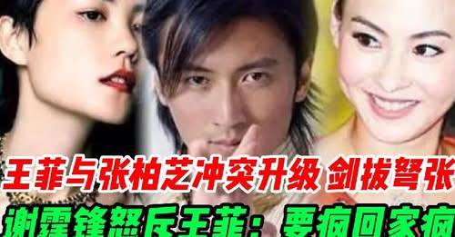 天天好戲看不完 - 王菲與張柏芝沖突升級！王菲在校門口罵張禮承「野孩子」，張柏芝氣得當場一巴掌，謝霆鋒怒斥王菲：要瘋回家瘋，別動我兒子 ...