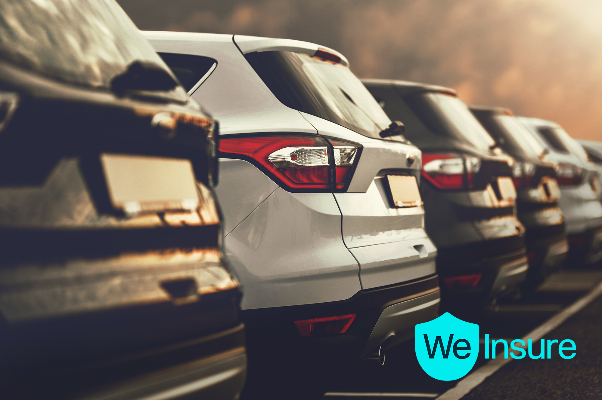 We Insure Franchise