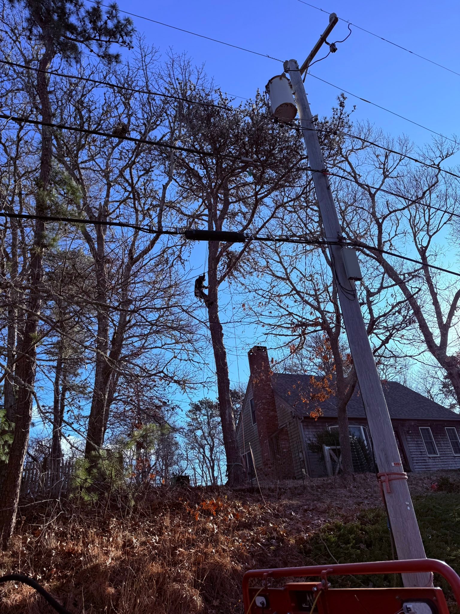 Strong Neighbors Tree & Junk Removal | Orleans MA