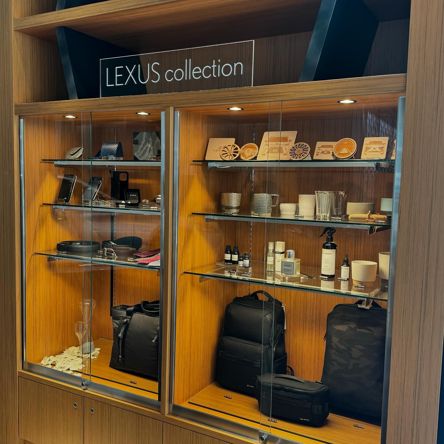 レクサス所沢 - 【 LEXUS Collection 2024-25 Autumn & Winter 