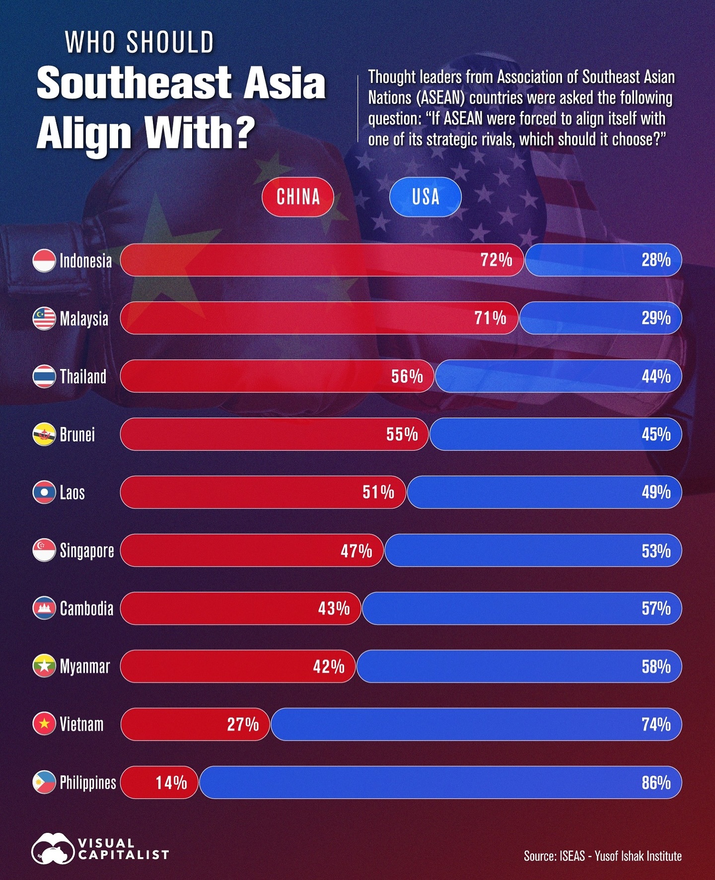 Southeast Asian countries divided between US and China alliances