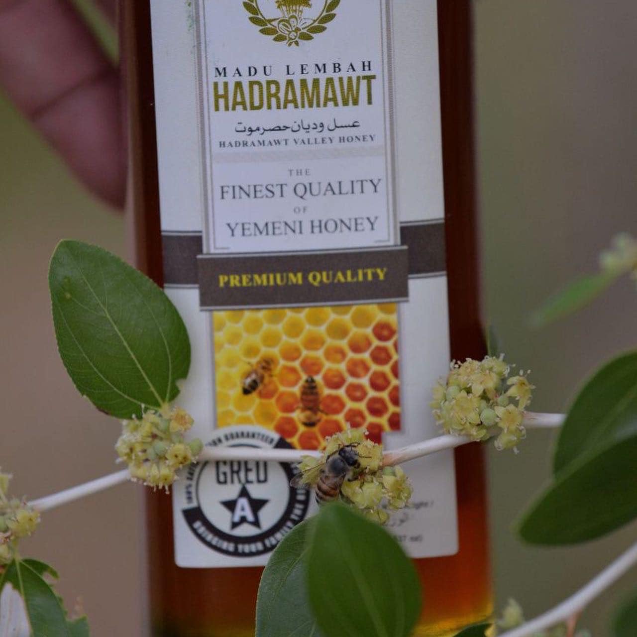 Rayhanah Habbatussauda d... - Rayhanah Habbatussauda d Gombak