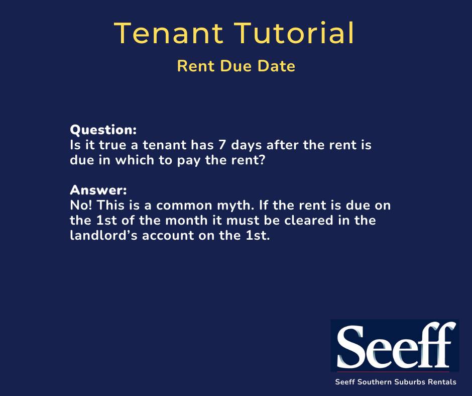 Seeff Southern Suburbs Rentals | Constantia