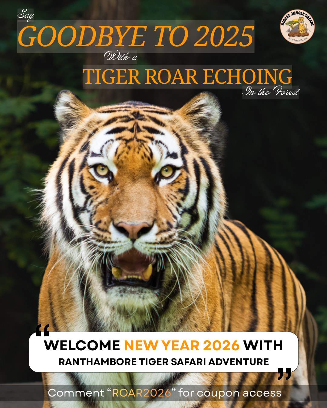 BigCat - 🐅🔥 Welcome 2026 with a WILD ROAR! Say hello to the New Year ...