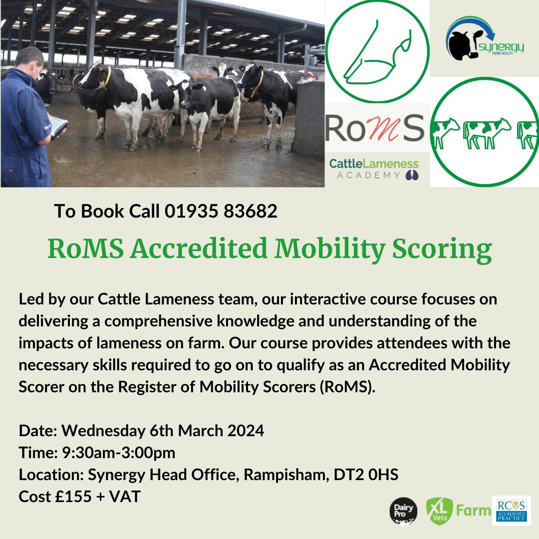Cattle - Synergy Farm Health offers the RoMS Accredited Mobility ...
