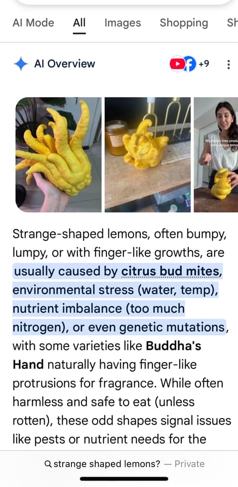 Creative Gardening | Why is my lemon tree producing these very bizarre ...