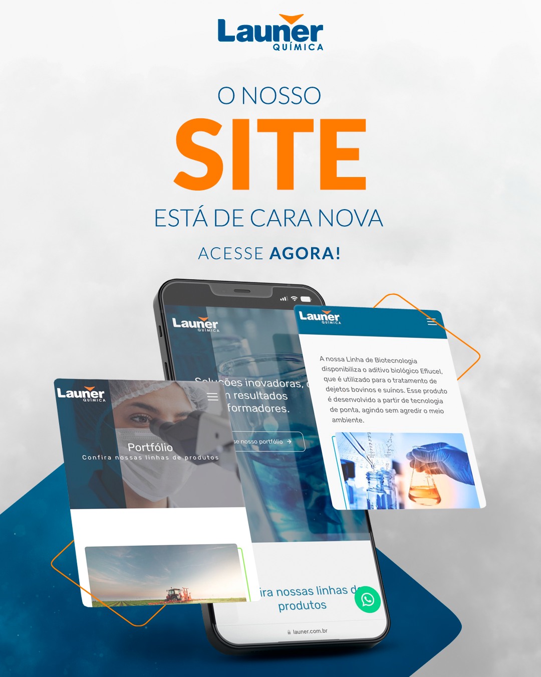Launer Química - Clientes e amigos, o nosso site está de... | Facebook