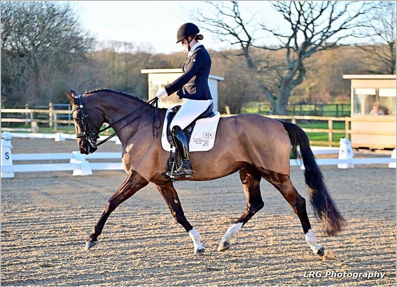 Turtles Dressage & Livery Yard | Cranleigh