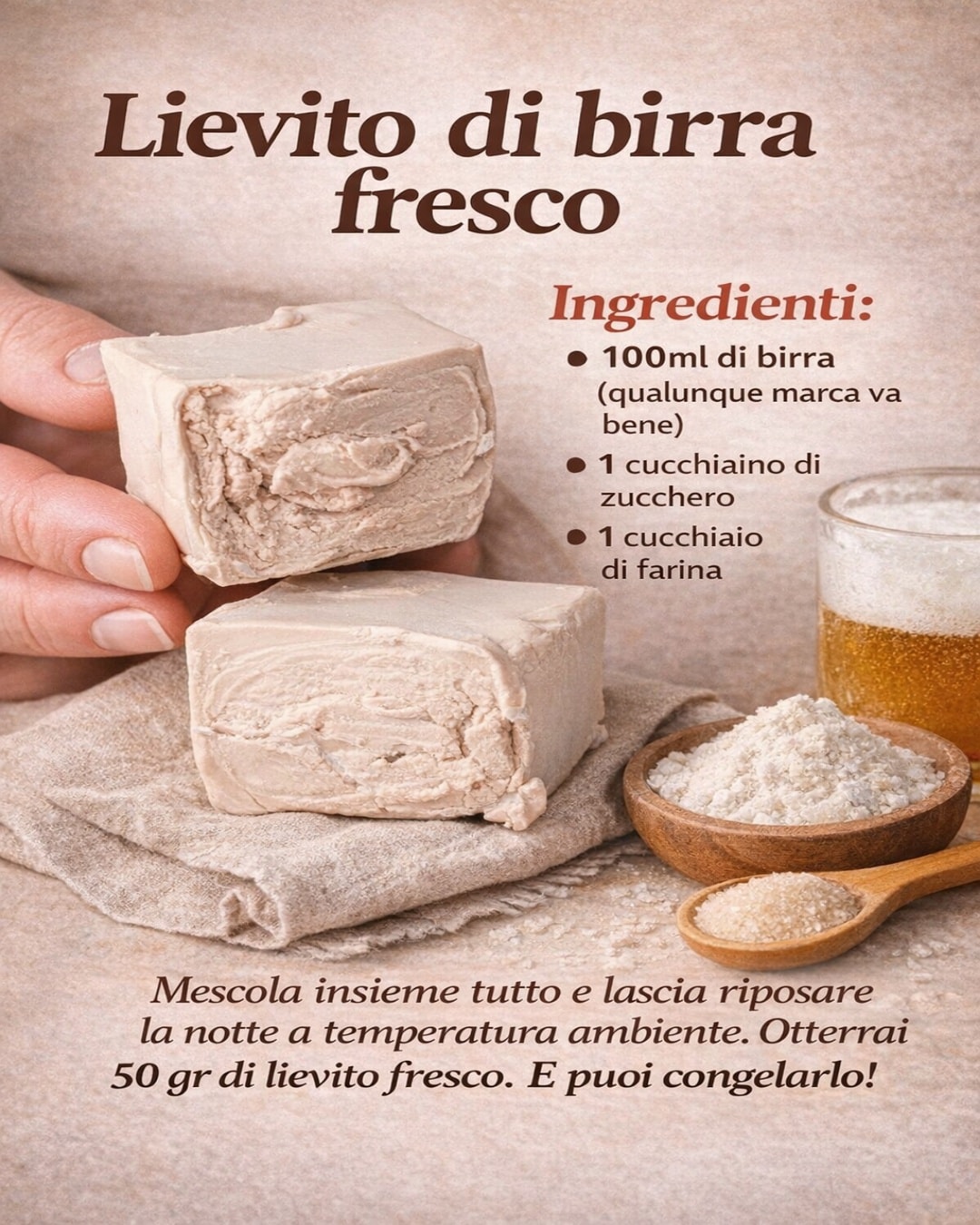 I consigli - 🍺 Lievito di Birra Fresco Fatto in Casa Un metodo semplice ...