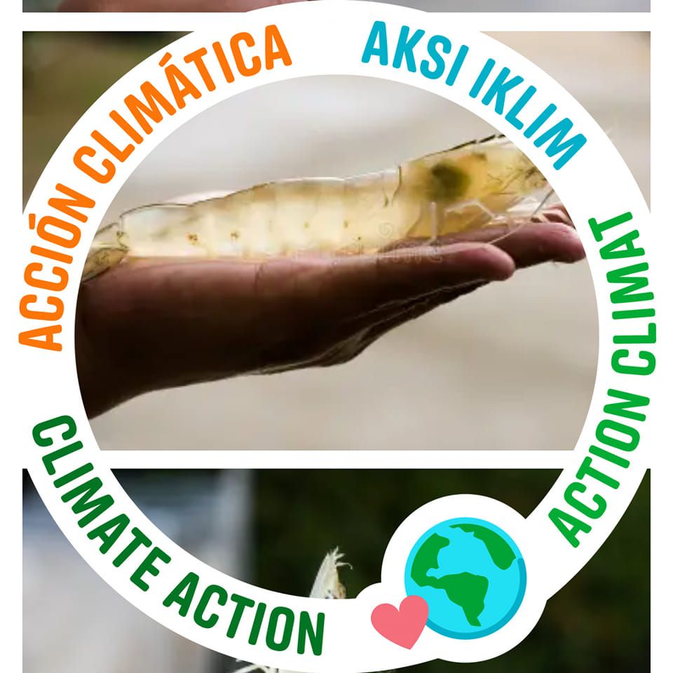 ROLE OF ELECTROLYTES IN *VANNAMEI* FARMING. Calcium (Ca), Magnesium (Mg ...