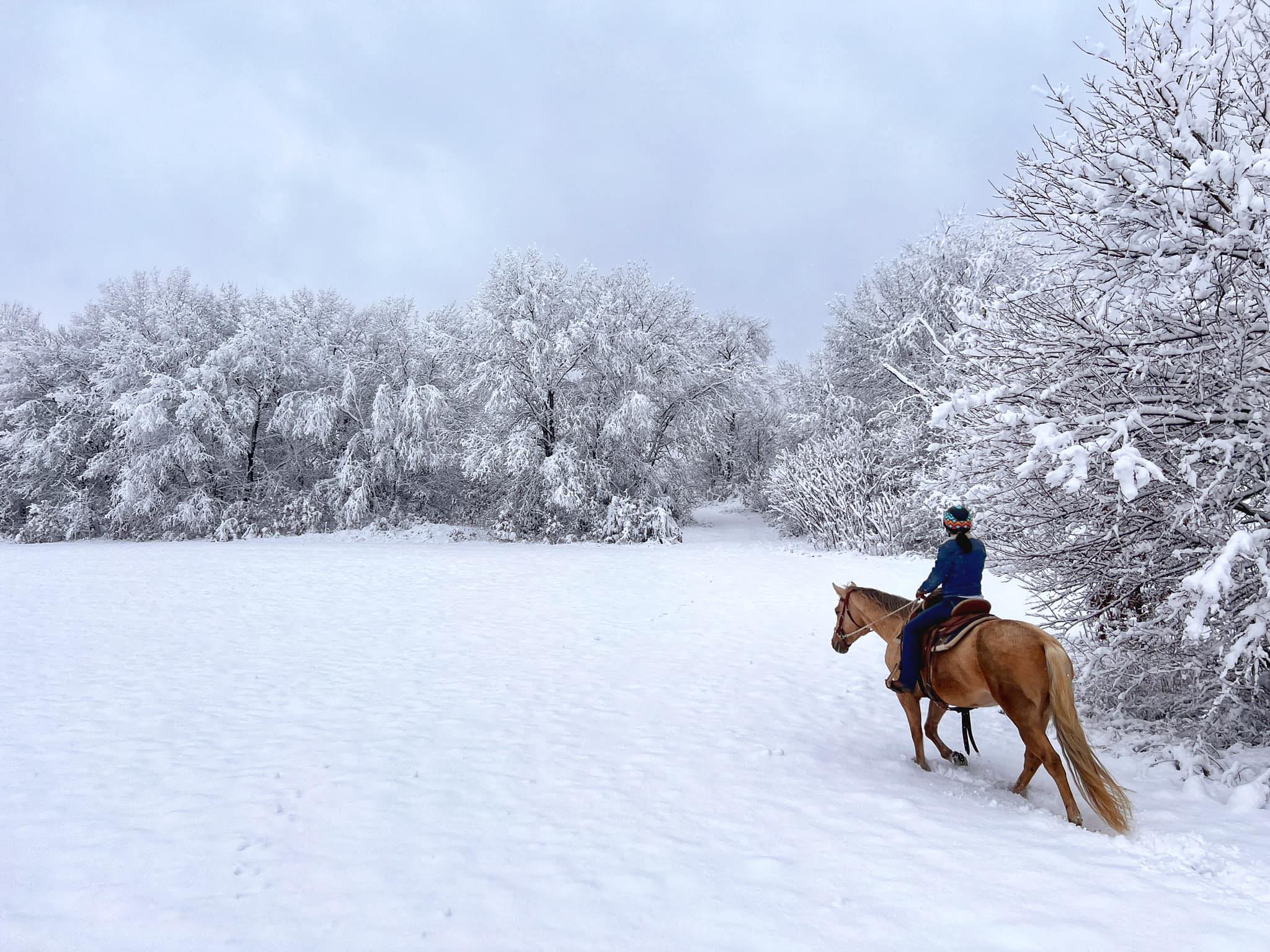 Lo Bar Ranch LLC | Wisconsin Dells WI
