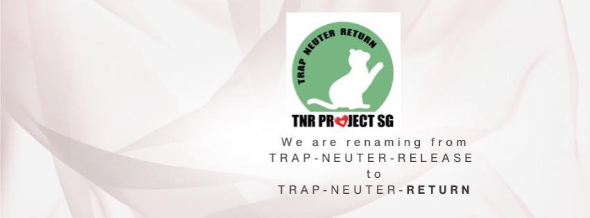 Trap Neuter Return -TNR Project SG | Singapore Singapore