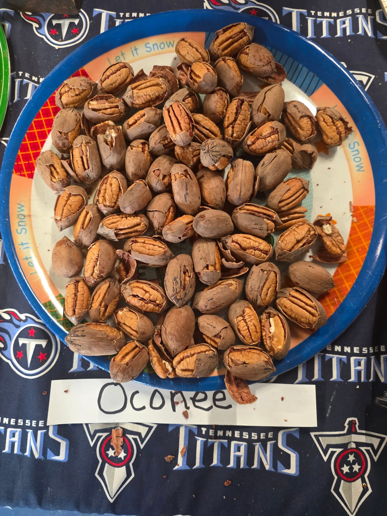 Bud Adams Ranch Pecans | Buckholts TX
