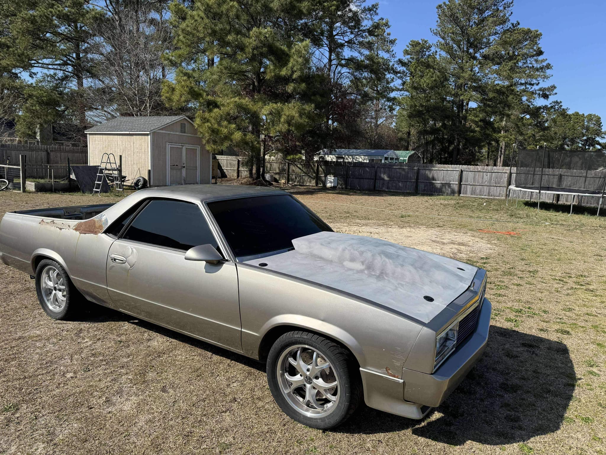 SMH Resins 1979 Malibu Outlaw hood resin – ORIENTAL SIAM