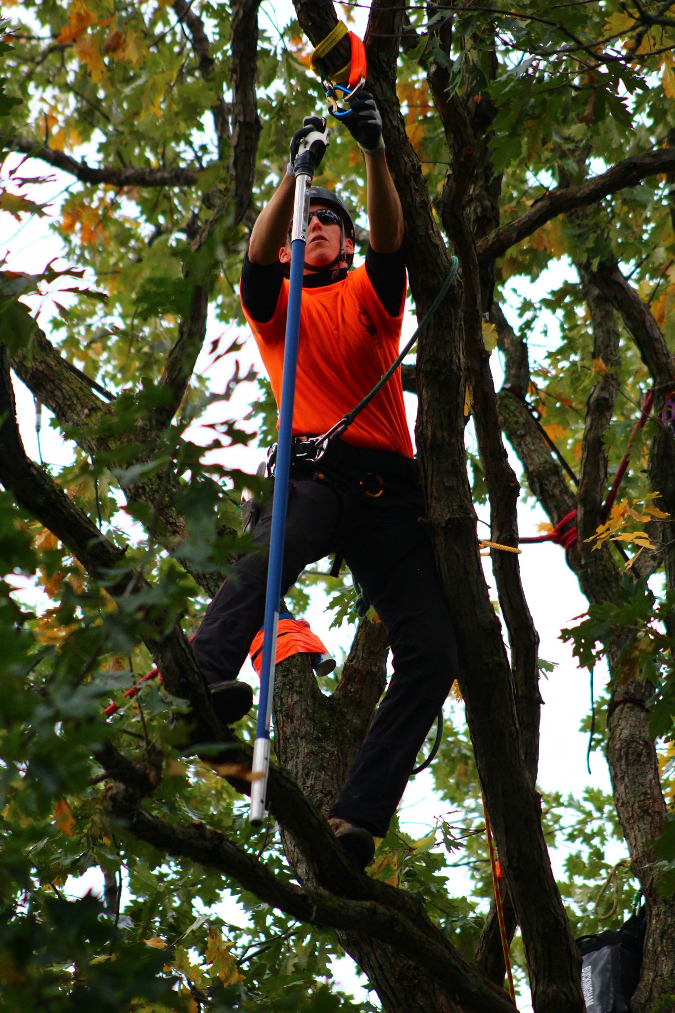 Notch Equipment - Today is the day! The International Tree...