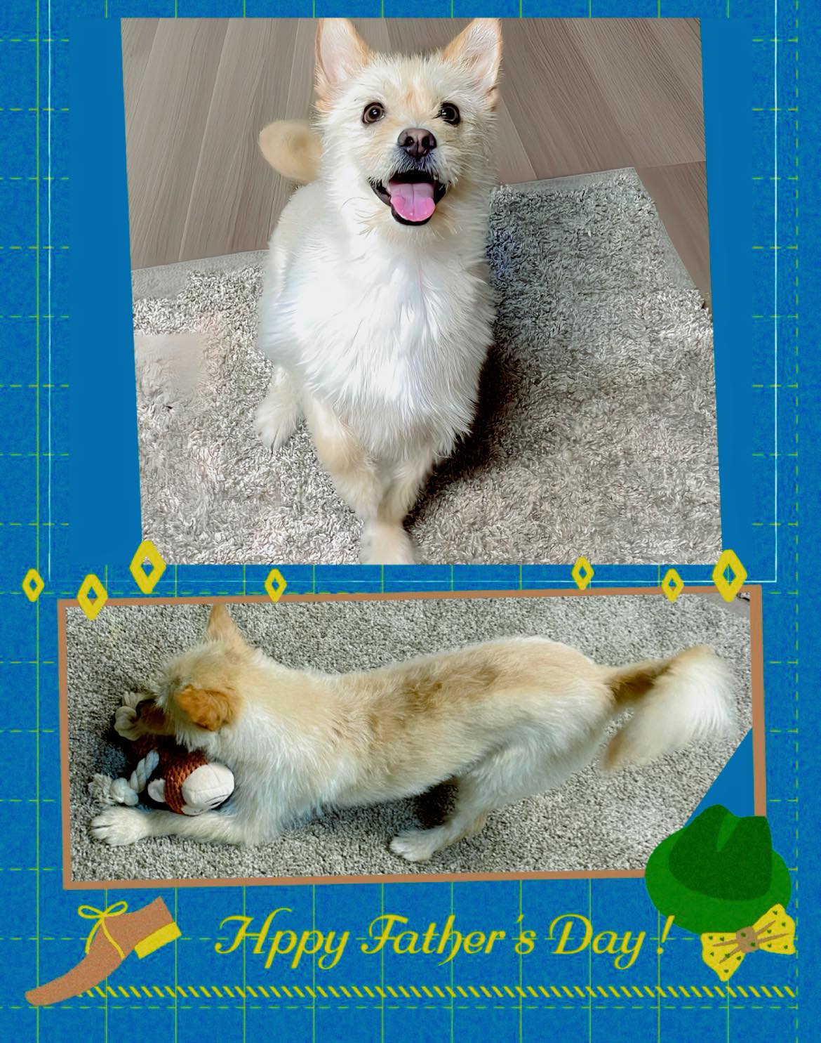 Project - ️ADOPTED ️ Hi all….its Axle wanting to wish all the Dads a ...