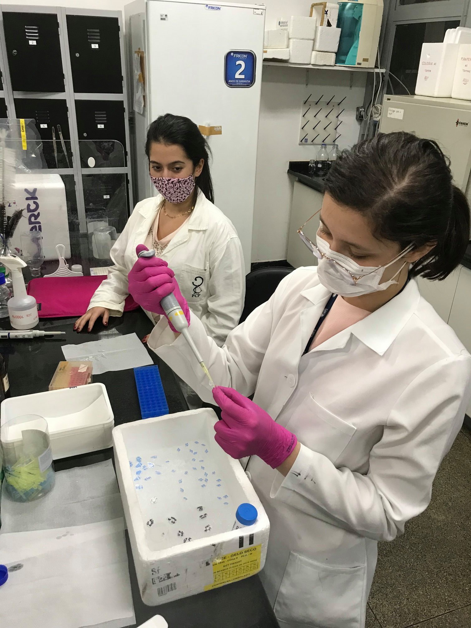 Brazilian Laboratory on Silencing Technologies | Campinas SP