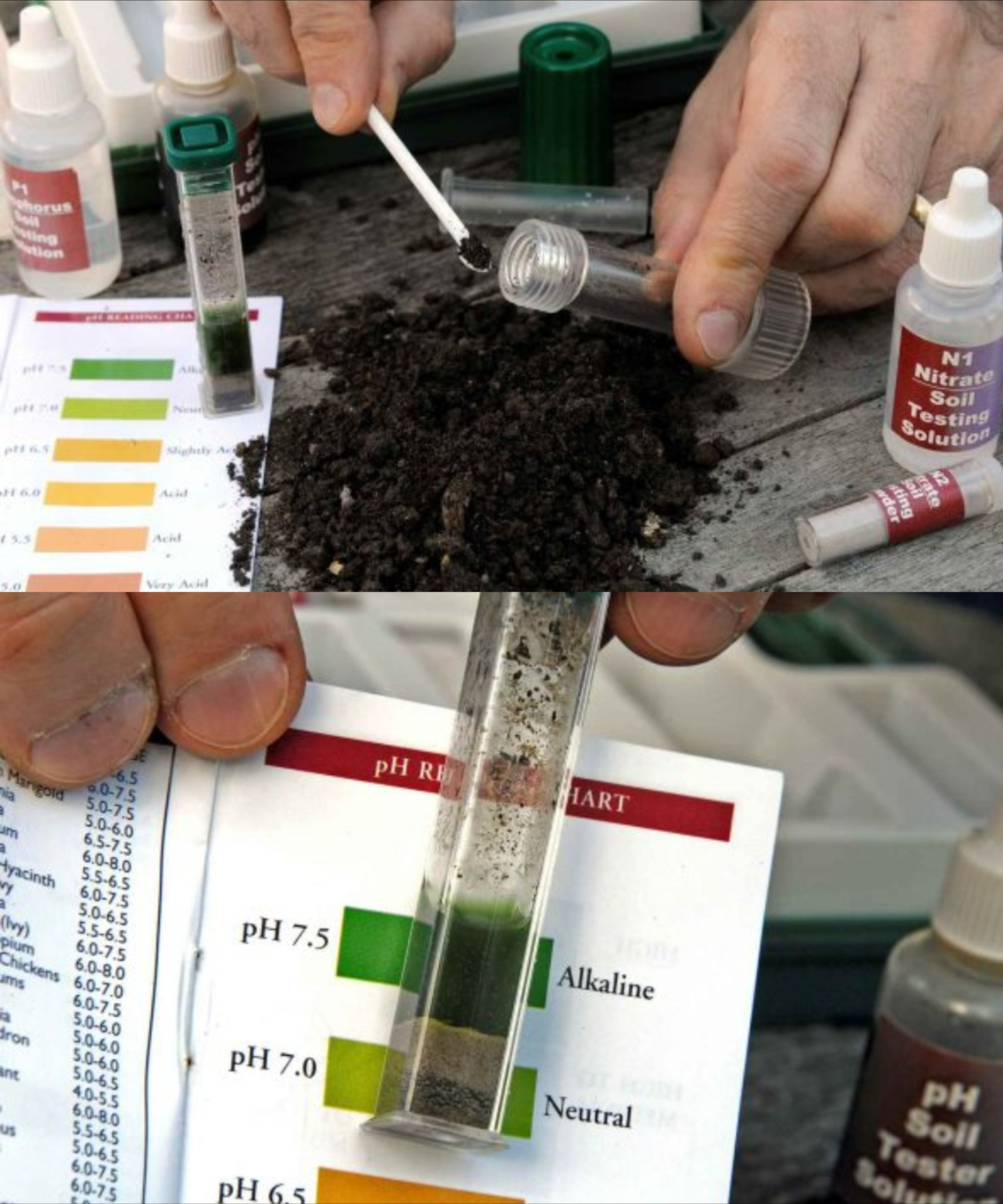 Astuces - 🌱 Comment mesurer le pH du sol 🌿 1️⃣ Préparer l’échantillon ...