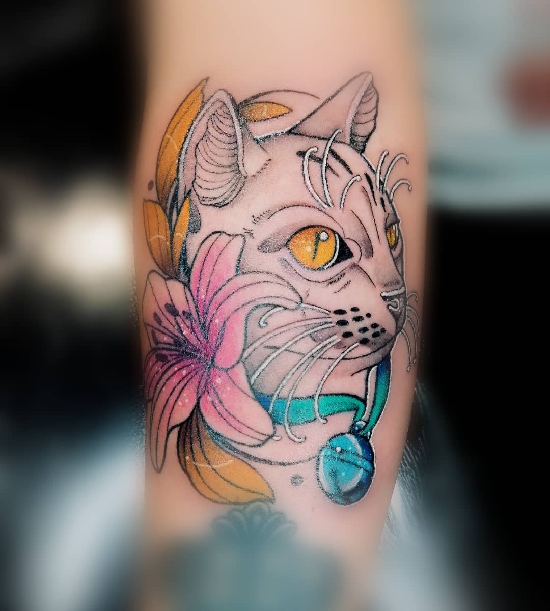 Les Plus Beaux Tatouage De Chat