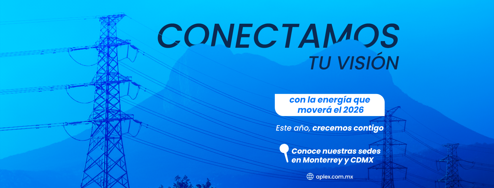Aplex de México, SA de CV.