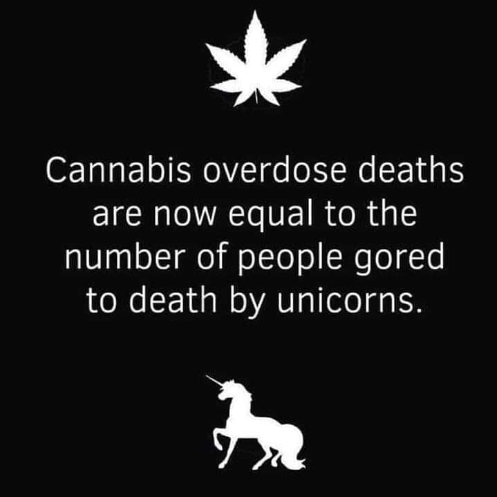 can you donate blood if you smoke vapes Weed Or Vape Did you know: You CAN donate Juul will no longer quit chewing Type:Nord Regular DC 0.6Ω Coil
