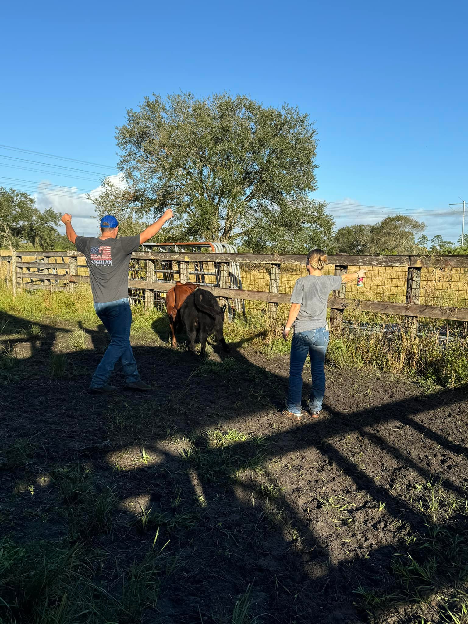 Rockin KP Ranch LLC