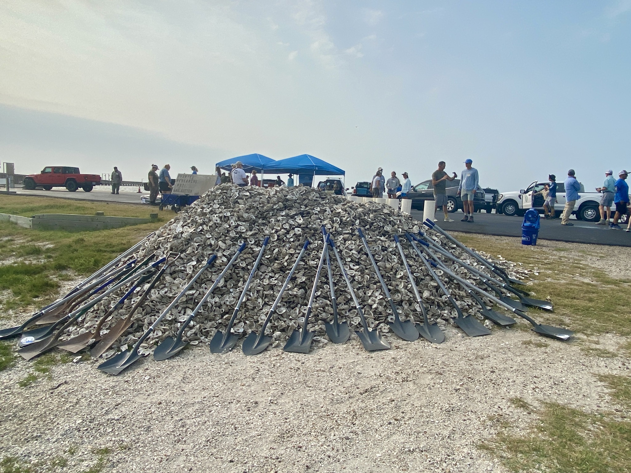 Goose - 10 tons of oyster shell ready to be bagged up and returned to ...