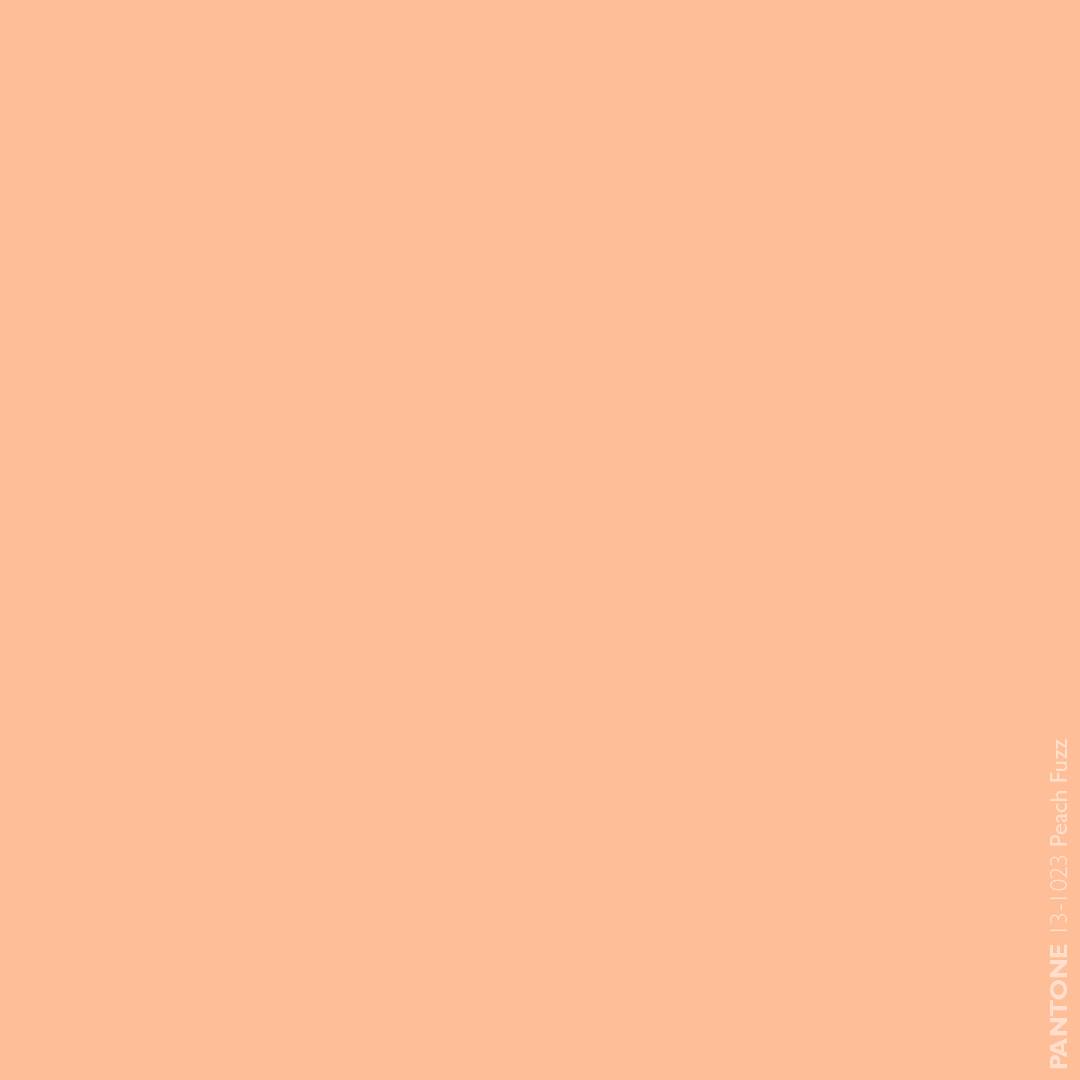 AM - Introducing Pantone Color of the Year 2024: Pantone 13-1023 Peach ...